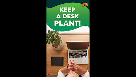 How Can You Make your Office Eco-Friendly? *