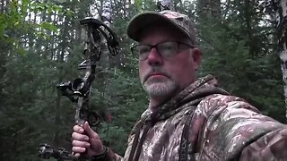 Semi-guided Ontario Bear Hunt