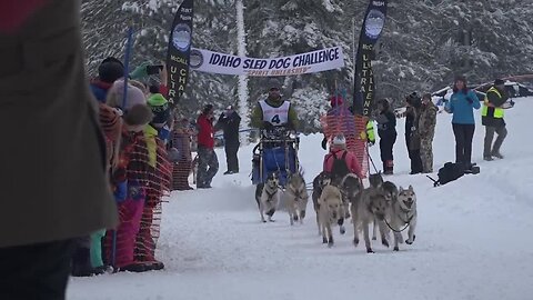 Mccall school children cheer on mushers at the start of the Idaho Sled Dog Challenge