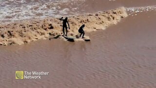 Surfers cruise on the tidal bore, a regular spectacle in Moncton