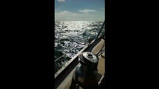 Sailing Florida