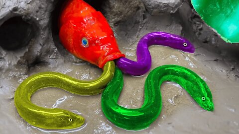 Colorful Koi Fish Funny Experiment Video | Pink Catfish,Spotted Fish | Primitive وقف الحركة ASMR