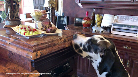 Great Danes Sample Mashed Potatoes And 500 Degree Filet Roast Recipe