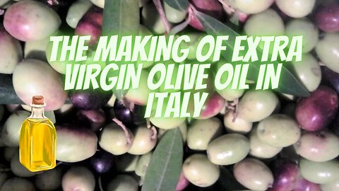 Making Olive Oil in Southern Italy