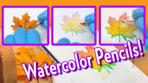 Learn to use watercolor pencils with Sauerpuss and Friends! Fun step by step creative activity.
