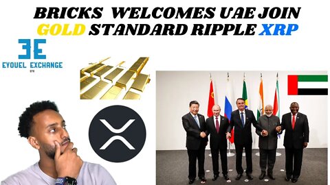 RIPPLE XRP in exchange for the petrodollar, UAE joining the BRICS+ nation, to the gold standard