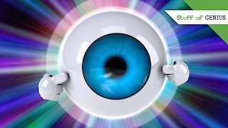 Stuff of Genius: William Dobelle: Artificial Eye