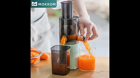 Mini Slow Juicer Household Full-automatic Small Multifunctional