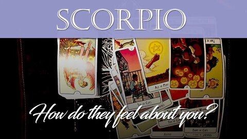 Scorpio💖 Their heart is so blocked, but they still think about you! Dealing with reality & stress!