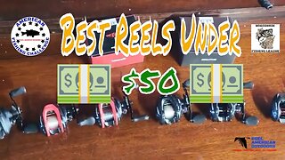Best Casting Reels for Under $50 (KastKing Reels)