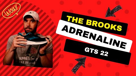 The Brooks Adrenaline GTS 22