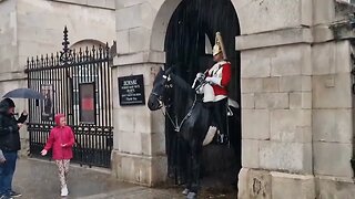 Heavy rain 🌧 fall changing of the guard #horseguardsparade