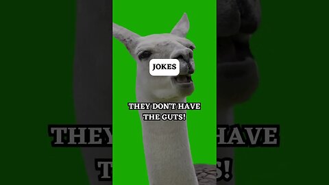 Try Not To Laugh Jokes #funny #lol #jokes #quotes #laughtertherapy
