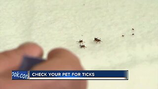 Warmer weather is here, and so are ticks