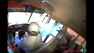 Deer crashes through windshield of bus in Virginia