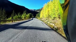 Motorcyclist Hits Moose and Survives
