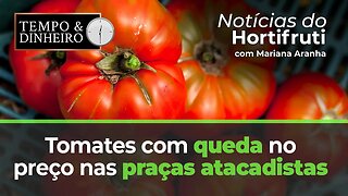 Tomates com queda no preço nas praças atacadistas