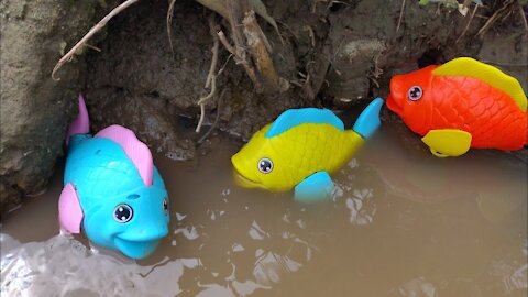 Find sea animal toys in river, Shark, Starfish, Sea fish, Stingray, Turtle, Lobster