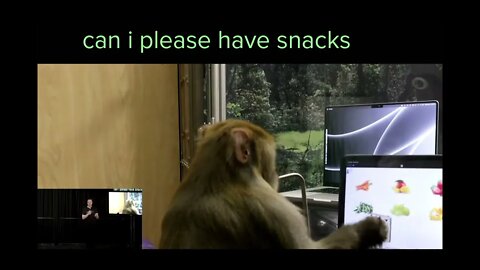 Monkeys like chips in their brain Elon Musk? Maybe Lay's but not these!!!