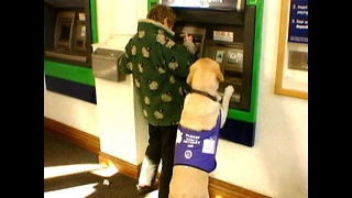 Dog Gets Money From ATM