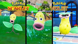 How To Catch Bellsprout and Evolve it into Weepinbell then Victreebell in Pokemon Teal Mask