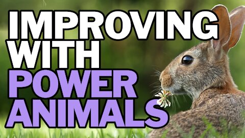 Improving with Power Animals