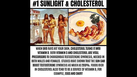 "Pushing a Meatless Society" - Why Testosterone Levels in America are Declining 12-14-23 Valuetainme