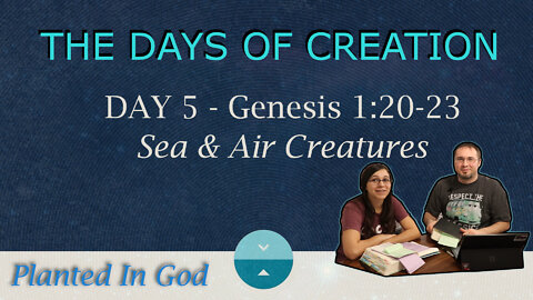 The Land & Sea Animals - Creation Day 5