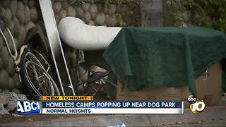Homeless camps popping up near dog park