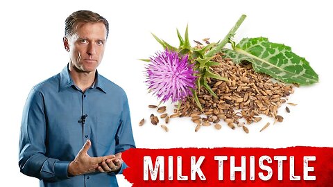 Milk Thistle: The Amazing Herb for Your Liver