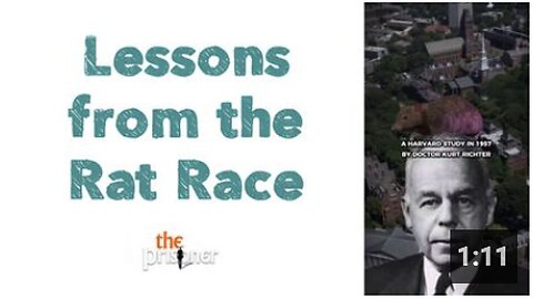 Lessons from the Rat Race
