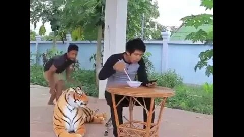 Watch hidden Camera: The fake Lion's trick