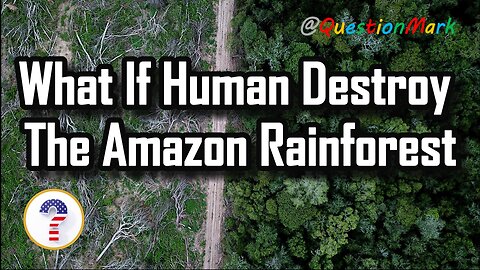 What If Human Destroy The Amazon Rainforest?