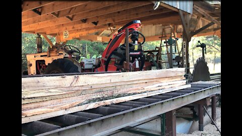 Sawmill Saves Termite Hickory