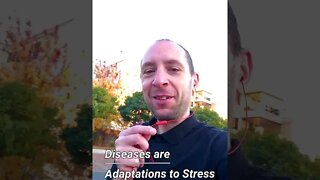 Diseases are Adaptations to Stress | Refresh My Health