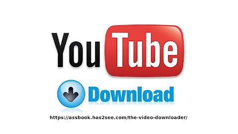The Video Downloader