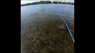 Catching a Bass