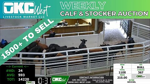 3/28/2023 - OKC West Calf and Stocker Auction