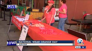 National Wear Orange Day for gun violence awareness