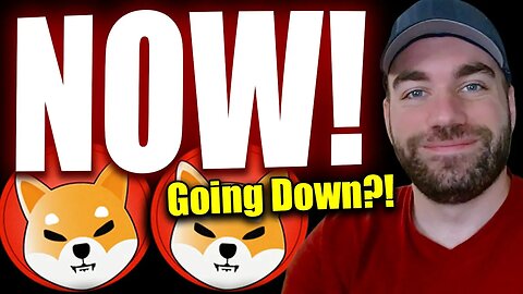 SHIBA INU - NOW! Fed Pause, Looming Credit Event, & is Cash King Again?!