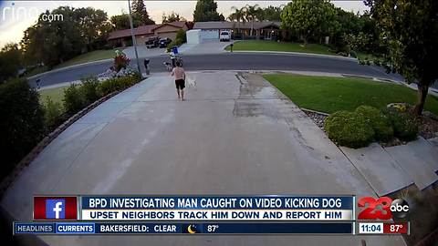 BPD investigating man caught on video kicking dog