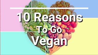 10 Reasons To Go Vegan
