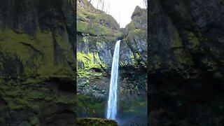 Elowah Falls hidden away #shorts. #waterfall