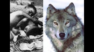 7 Human Children Who Were Raised By WILD Animals