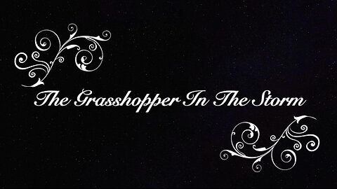 The Grasshopper in The Storm