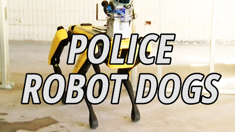 Honolulu Police Spent 75k on A Robot Dog