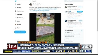 SCHOOL SHOUTOUT: Hoggard Elementary