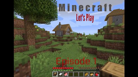 Minecraft Let's Play Episode 1|Beginner Advice