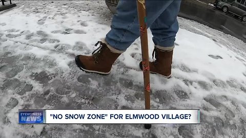"No Snow Zone" for Elmwood Village