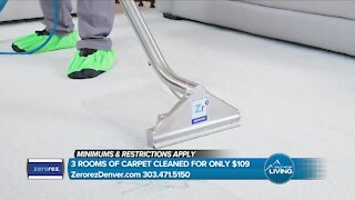 MHL // Zerorez Long Term Carpet Cleaning